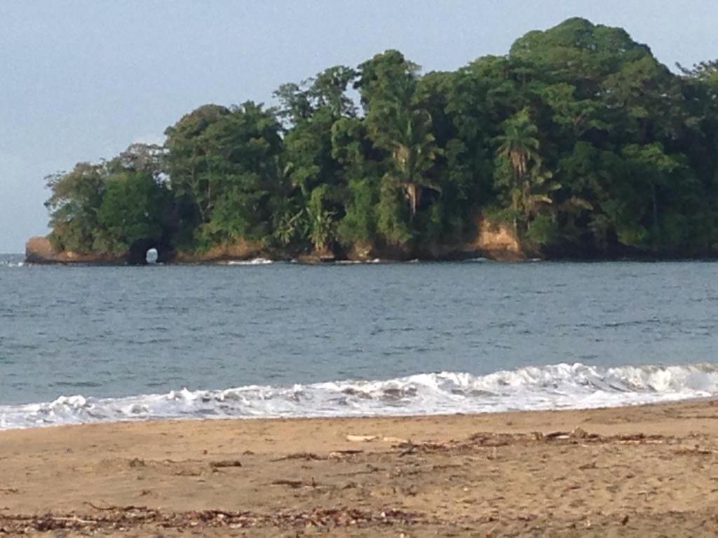 Hotel One Love Puerto Viejo Puerto Viejo de Talamanca Bagian luar foto