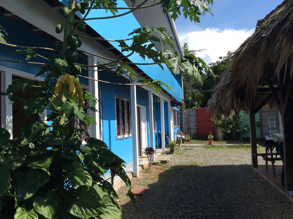 Hotel One Love Puerto Viejo Puerto Viejo de Talamanca Bagian luar foto